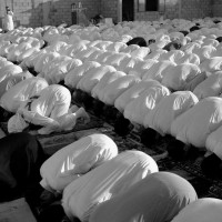 البوم صور الشهيد آية الله الشيخ نمر باقر النمر 